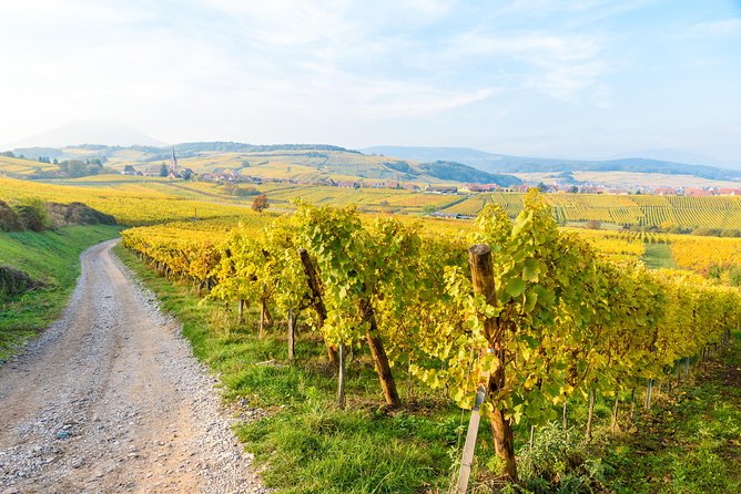 Alsace Half Day Wine Tour From Colmar - Inclusions and Exclusions of the Tour