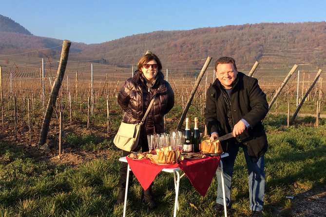 Alsace Private Tailored Tour in a Tesla With a Local - Good To Know