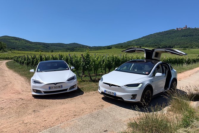 Alsace Private Tailored Tour in a Tesla With a Local - Local Interactions