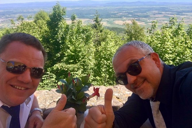 Alsace Private Tailored Tour in a Tesla With a Local - Positive Reviews