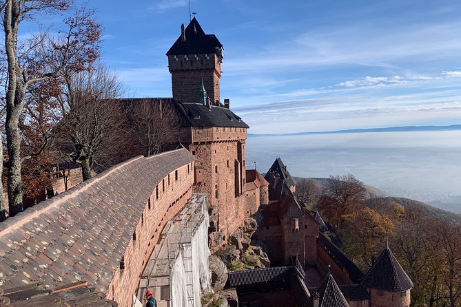 Alsace Private Tailored Tour in a Tesla With a Local - Knowledgeable Guides