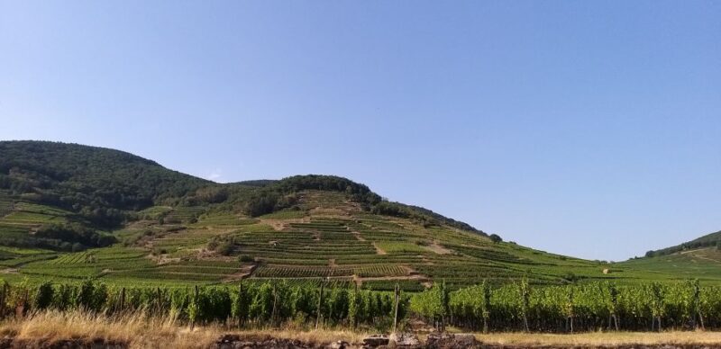 Alsace: Private Wine Tour - Small Group Dynamic Experience