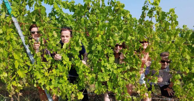 Alsace: Private Wine Tour - Inclusions and Restrictions Overview