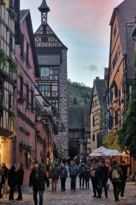 Alsace: the Legendary Wine Road Tour With Tasting and Lunch - Private Group Experience