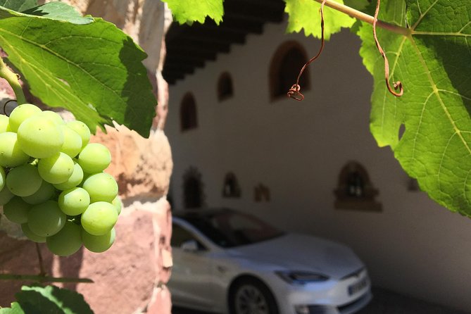 Alsace Tour : Wine Tasting, Villages & Castle Visits With Friendly Tesla Driver - Private Tour With Friendly Local Guides