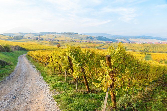 Alsace Villages Half Day Tour From Colmar - Scenic Alsace Wine Route