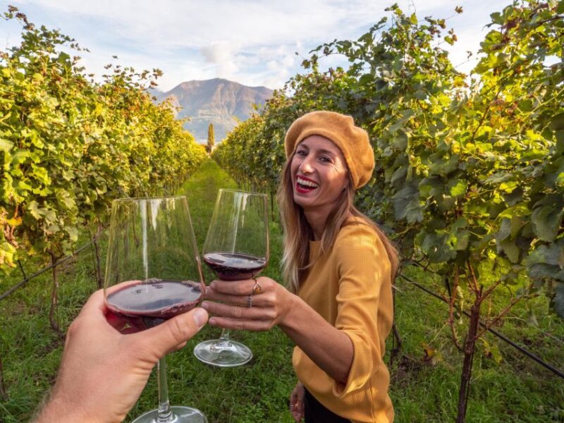 Alsace Wine Odyssey: Full-Day Private Tour From Strasbourg - Just The Basics