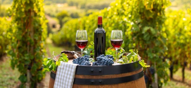 Alsace Wine Odyssey: Full-Day Private Tour From Strasbourg - Wandering Ribeauvillé