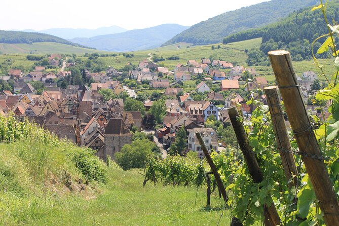 Alsace Wine Route Small Group Half-Day Tour With Tasting From Strasbourg - Inclusions and Exclusions