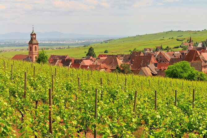 Alsace Wine Route Small Group Half-Day Tour With Tasting From Strasbourg - Exploring the Alsace Wine Route