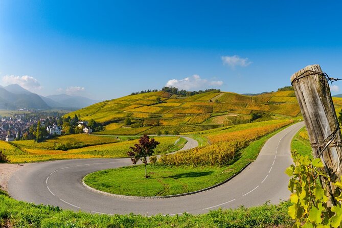Alsace Wine Route Small Group Half-Day Tour With Tasting From Strasbourg - Grape Varieties and Winemaking