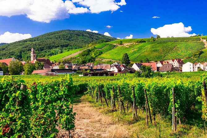 Alsace Wine Route Small Group Half-Day Tour With Tasting From Strasbourg - Visiting Charming Alsatian Towns