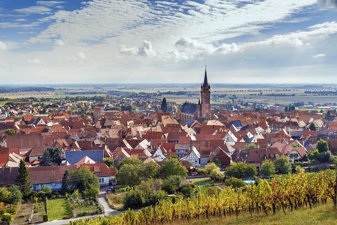 Alsace Wine Route Wineries & Tasting Small Group Guided Tour From Strasbourg - Ribeauvillé and Riquewihr Highlights