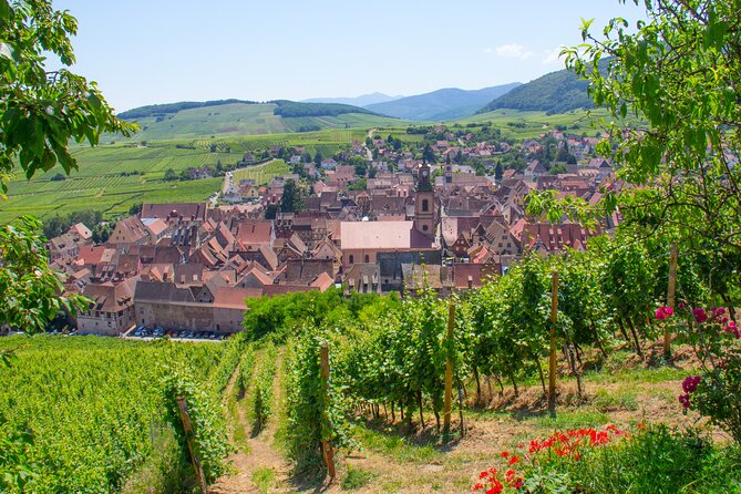 Alsace Wine Route Wineries & Tasting Small Group Guided Tour From Strasbourg - Tour Inclusions and Exclusions