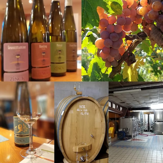Alsace Wine Tour & Medieval Villages Small Group Guided Tour - Itinerary Highlights