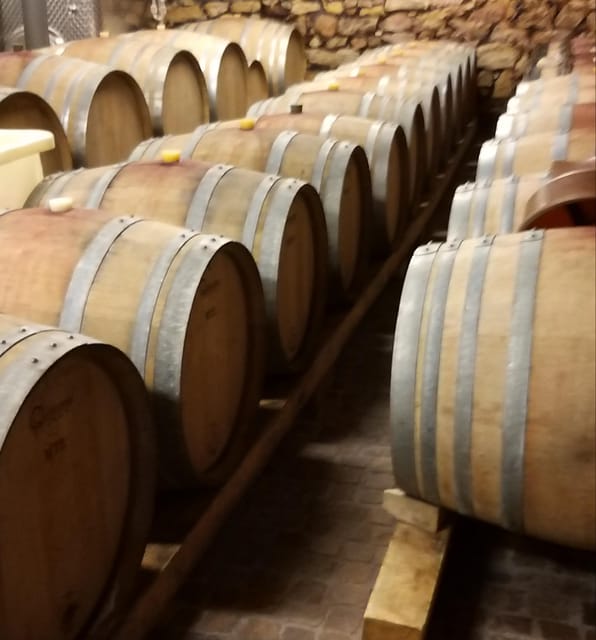Alsace Wine Tour & Medieval Villages Small Group Guided Tour - Important Considerations