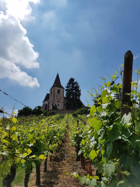 Alsace Wine Tour & Medieval Villages Small Group Guided Tour - Recommendations for Visitors