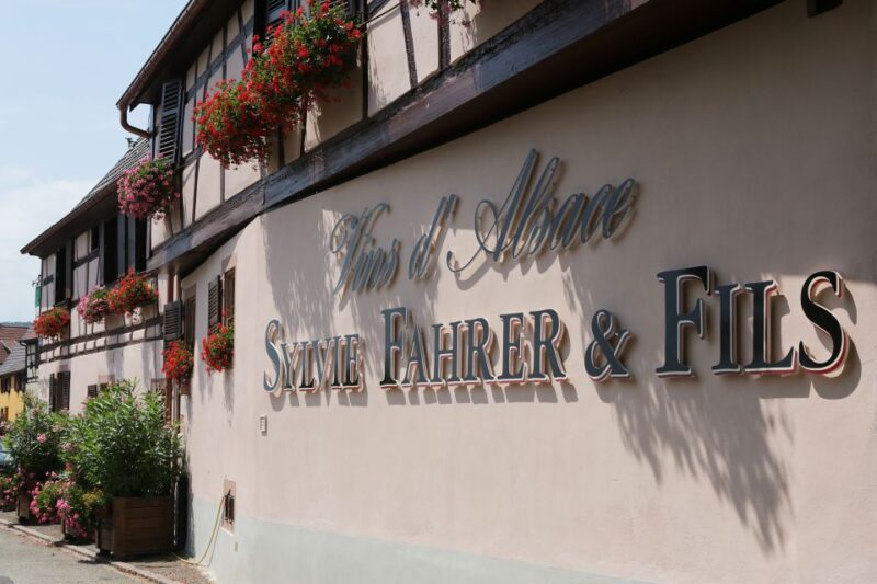 Alsace: Winery Tour & Tasting - Wine Pairings and Winery Visit