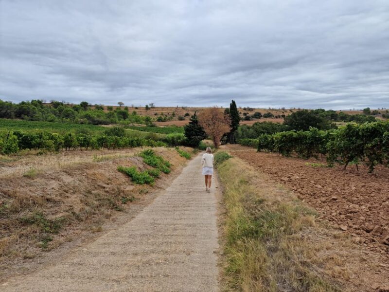 Alt Emporda Wine Tasting With Breakfast and Lunch - Key Points