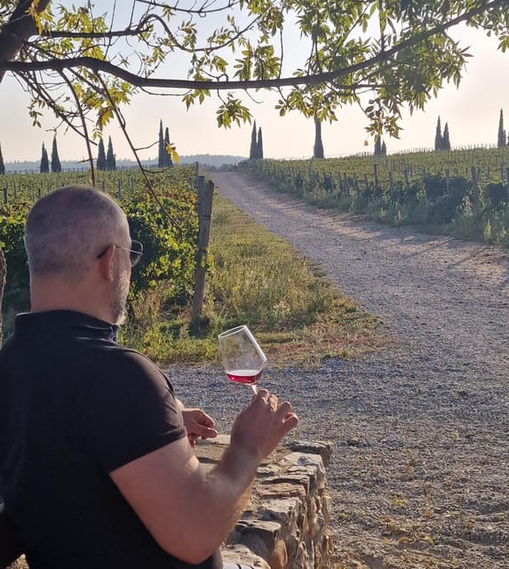 Alt Emporda Wine Tasting With Breakfast and Lunch - Accessibility and Restrictions
