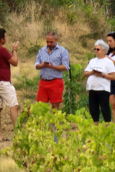 Alt Emporda Wine Tasting With Breakfast and Lunch - Validity Period