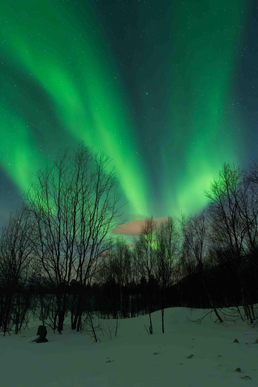 Alta: Aurora Hunt Tour With Professional Photographer - Tour Overview