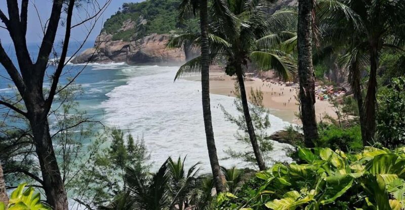 Alta Da Boa Vista / Rio De JaneiroTranslated Into English:Alta Da Boa Vista / Rio De Janeiro - Key Points