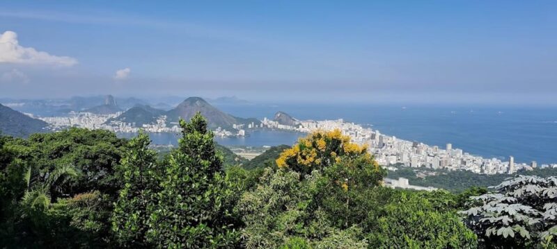 Alta Da Boa Vista / Rio De JaneiroTranslated Into English:Alta Da Boa Vista / Rio De Janeiro - Location and Price