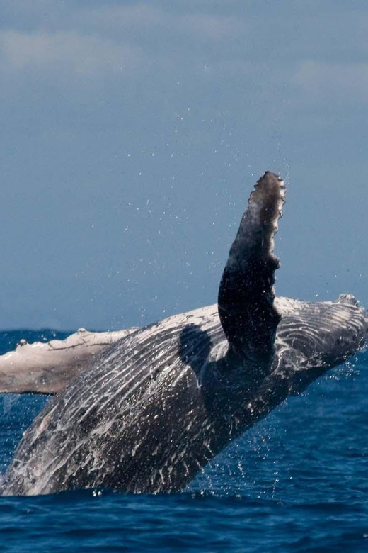 Alta Fjord: Private Whale Watching Tour - Cancellation and Refund Policy