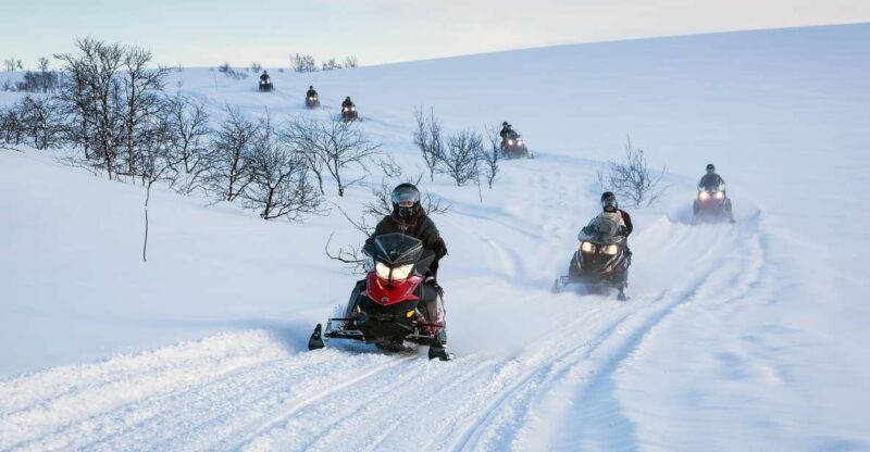 Alta: Guided Snowmobile Safari on Finnmarksvidda With Snacks - Experience and Highlights