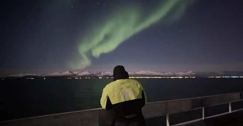 Alta Northern Lights Safari - Experience Highlights