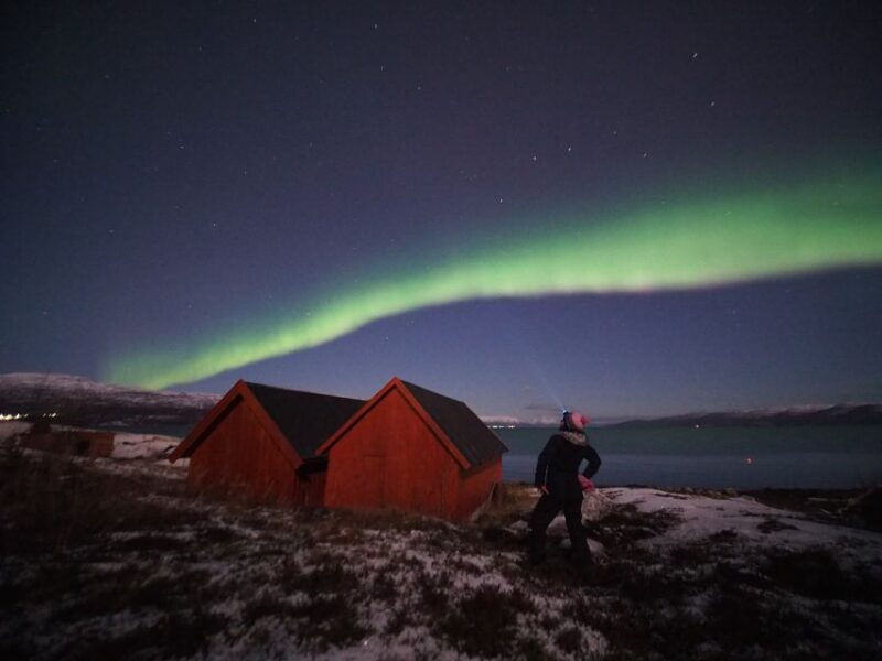 Alta: Small-Group Guided Northern Lights Tour - Key Points