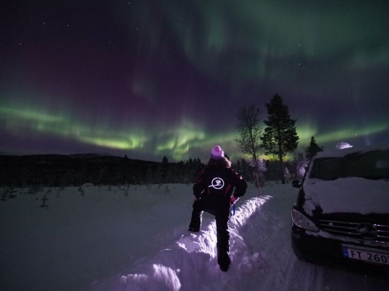 Alta: Small-Group Guided Northern Lights Tour - Northern Lights Sightings
