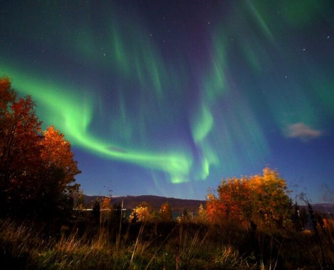 Alta: Small-Group Guided Northern Lights Tour - Booking and Cancellation Policy