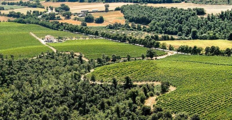 Alta Tuscia Ebike Tour With Visit to Antica Cantina Leonardi - Experience Highlights