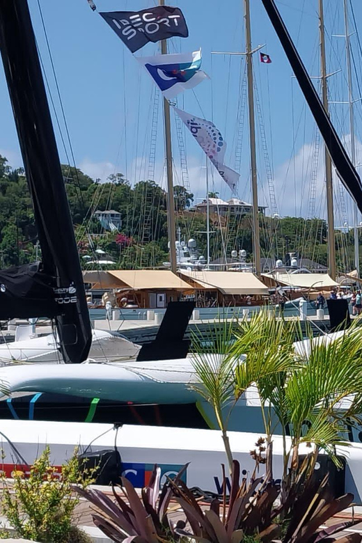 Altagracia: Multi Language Island Tours With Tasting - Participant Guidelines
