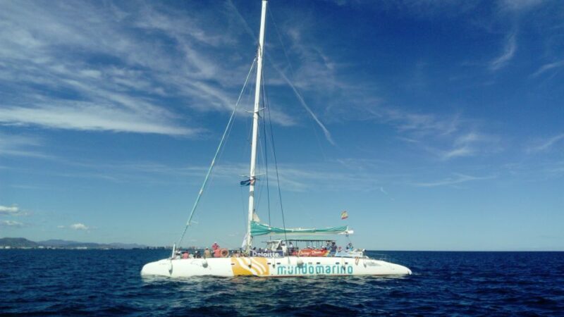 Altea: Boat Tour With Swimming Stop - Experience Highlights