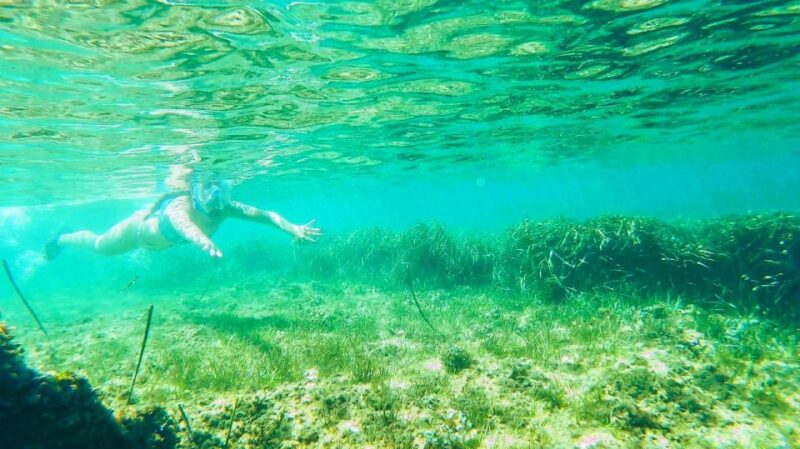 Altea: Guided Kayak Tour - Safety Considerations