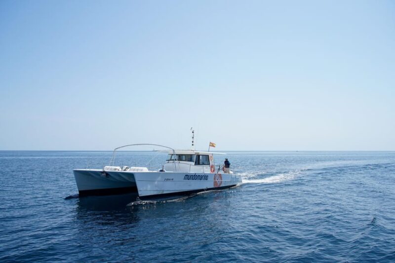 Altea: Motor Catamaran Boat Tour With Sunset Option - Inclusions