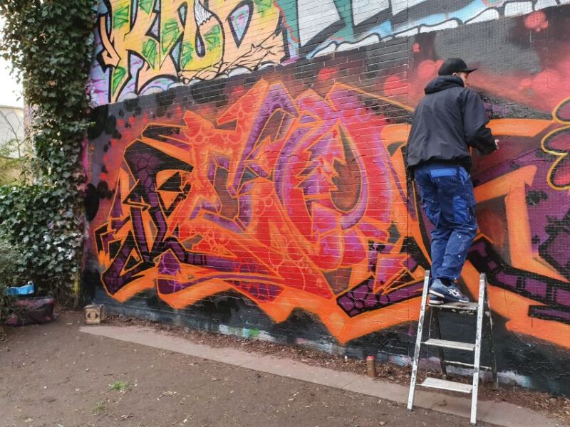 Alternative Hamburg / Street Art Private Tour - Community and Resistance