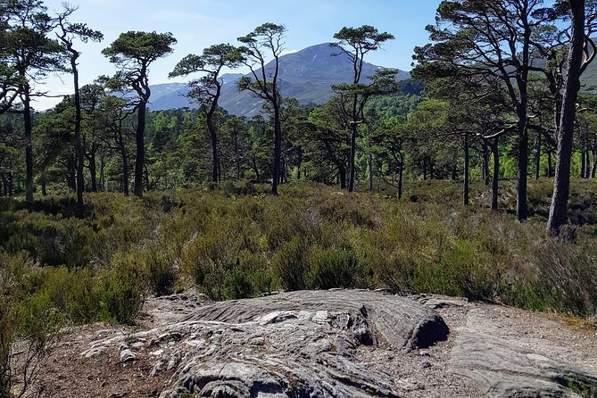 Alternative Loch Ness Tour by Secret Highlands - Tour Overview and Highlights