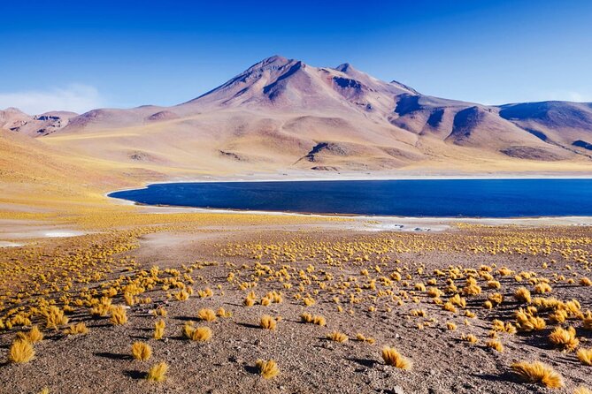 Altiplanic Lagoons and Piedras Rojas - Overview of the Tour