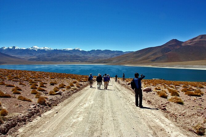 Altiplanic Lagoons and Piedras Rojas - Scenery and Landscape