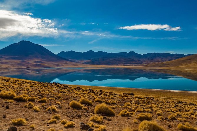 Altiplanic Lagoons and Piedras Rojas - Key Points