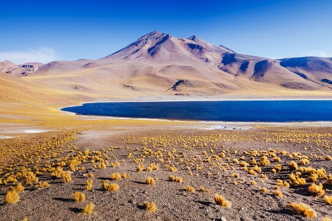 Altiplanic Lagoons and Piedras Rojas - Piedras Rojas