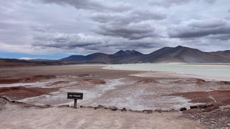 Altiplanic Lagoons and Red Stones From San Pedro De Atacama - Key Points