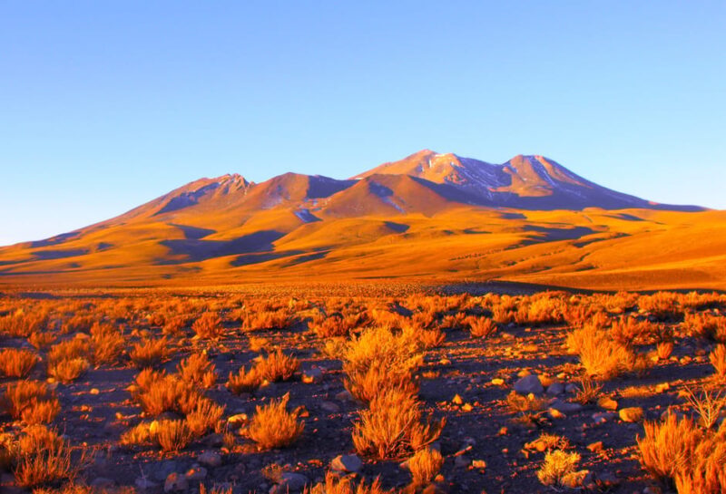 Altiplanic Lagoons and Red Stones From San Pedro De Atacama - Itinerary and Highlights