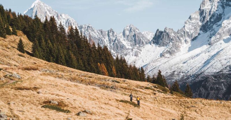 Altitude Experience Above Chamonix by Ebike - Pastures and Glaciers