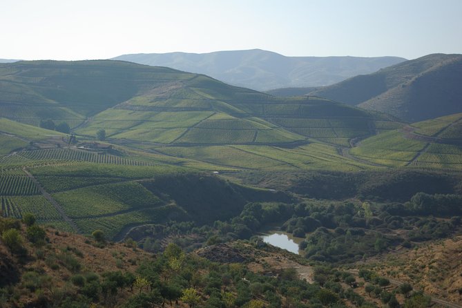Alto Douro Walk & WineTour - Key Points