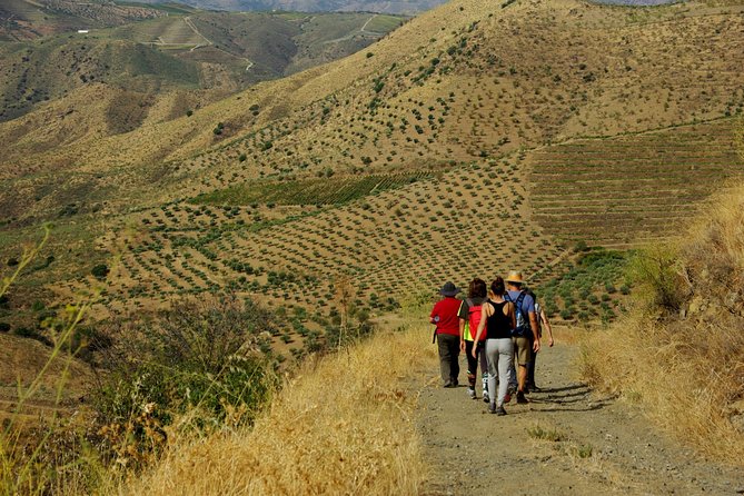 Alto Douro Walk & WineTour - Booking Information